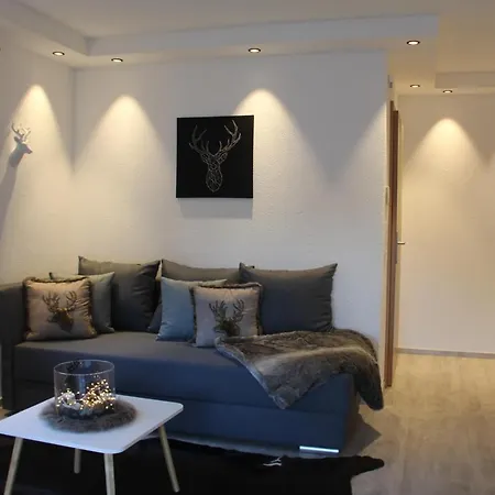 Aparthotel Mooshof 3*
